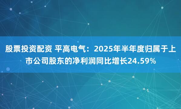 股票投资配资 平高电气：2025年半年度归属于上市公司股东的净利润同比增长24.59%