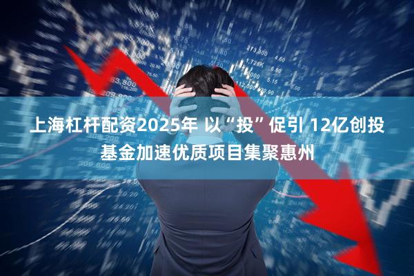 上海杠杆配资2025年 以“投”促引 12亿创投基金加速优质项目集聚惠州